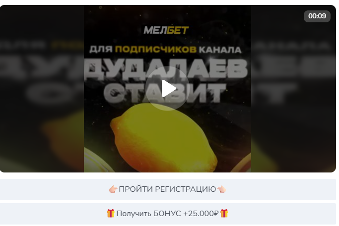 Dudalaev95 Dudalaev95