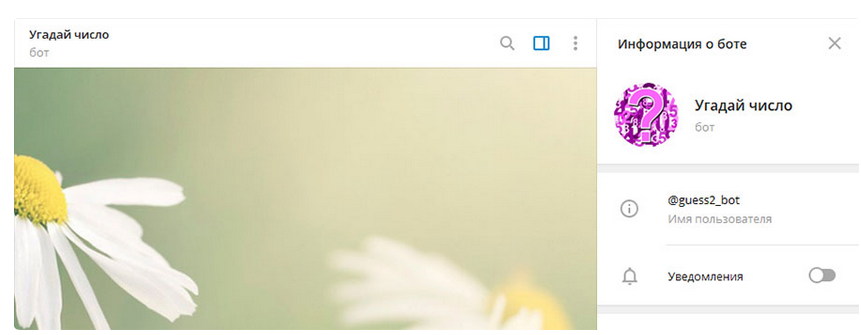 Угадай число