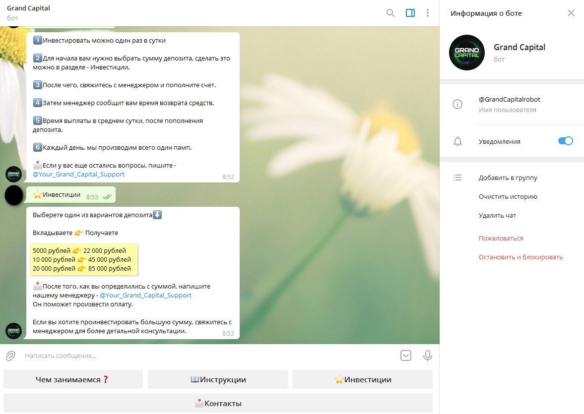 Grand Capital Grand Capital