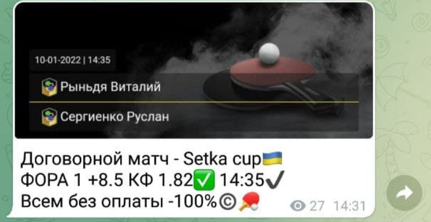 setka cup setka cup