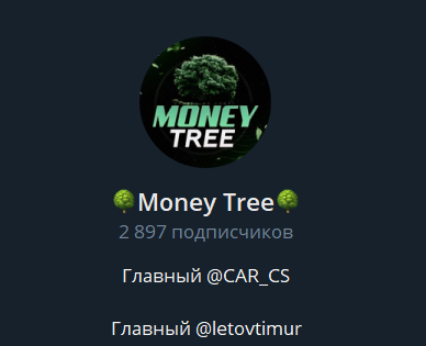 Money Tree Money Tree