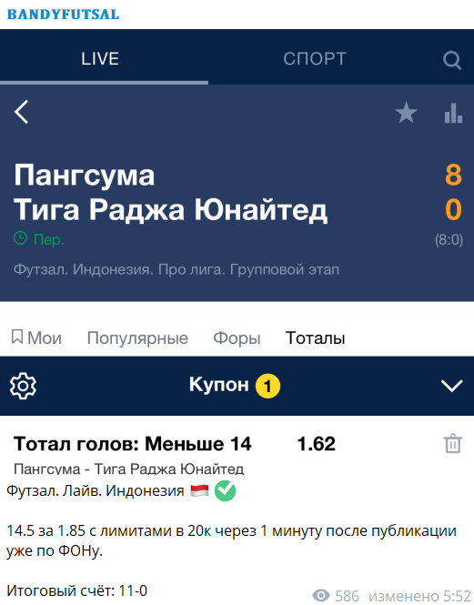 bandyfutsal bandyfutsal