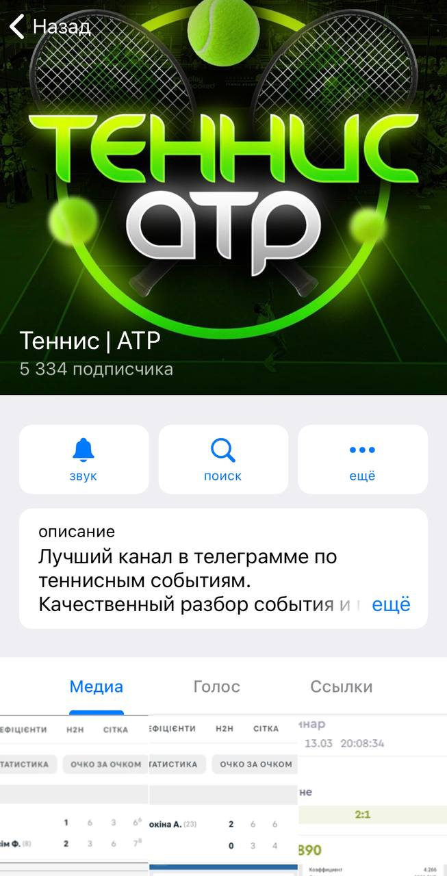 Теннис АТР Теннис АТР