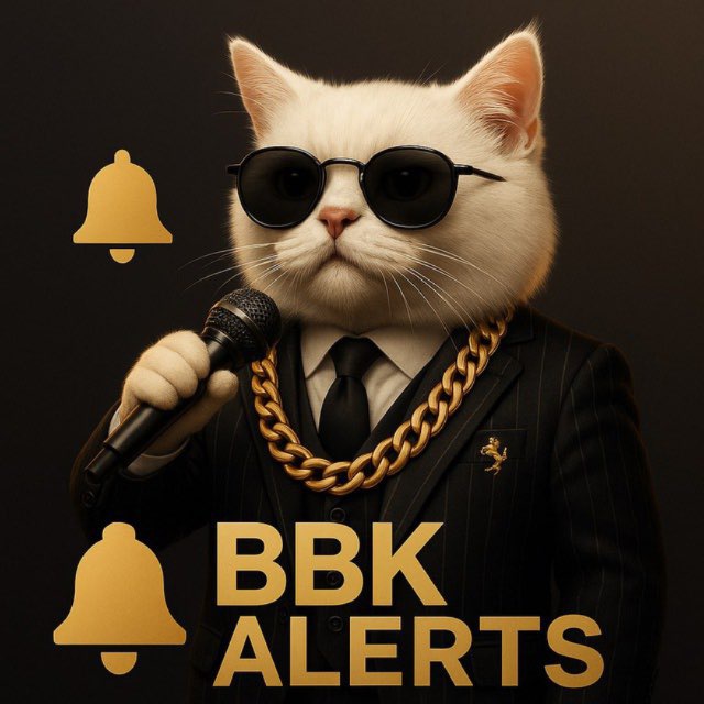 Alerts BBK