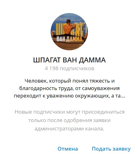 ШПАГАТ ВАН ДАММА отзывы ШПАГАТ ВАН ДАММА отзывы