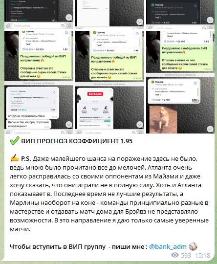 Отчет по вип-прогнозу Отчет по вип-прогнозу