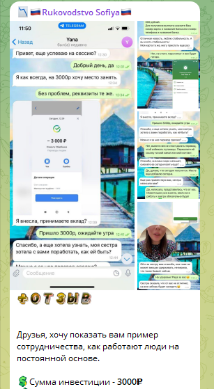 Отзывы подписчиков Отзывы подписчиков