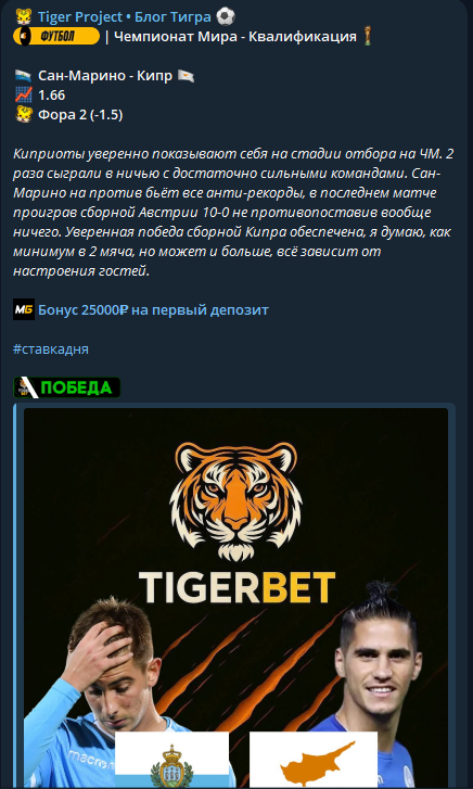 отзывы Тигер Проджект отзывы Тигер Проджект