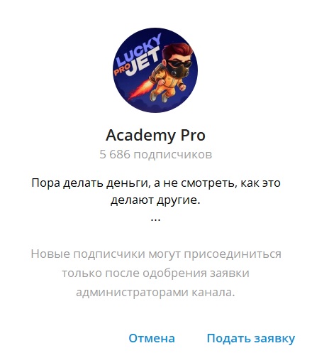 Academy Pro отзывы