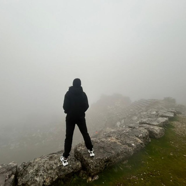 Эрлистатик