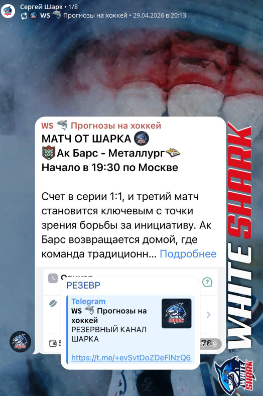 Вайт Шарк Вайт Шарк