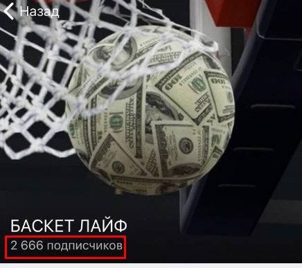 баскет лайф