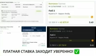 теннисный сезон телеграм